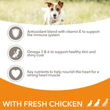 IAMS adult dog food small medium breed with chicken 800g, UK version
