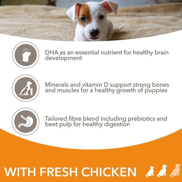Iams fresh chicken puppy food for small medium breeds 2kg, UK version