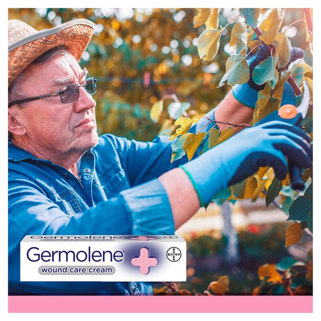 Germolene antiseptic cream 30g, UK version