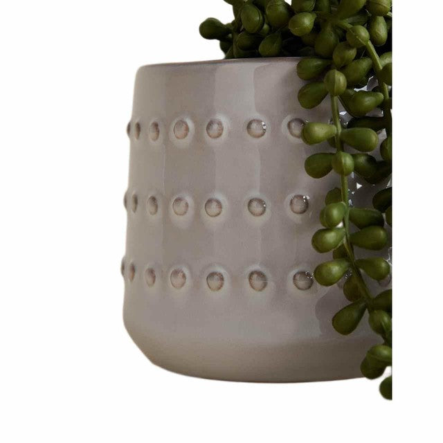 M&S String of Pearls artificial succulent in bobble ceramic pot (British brand)