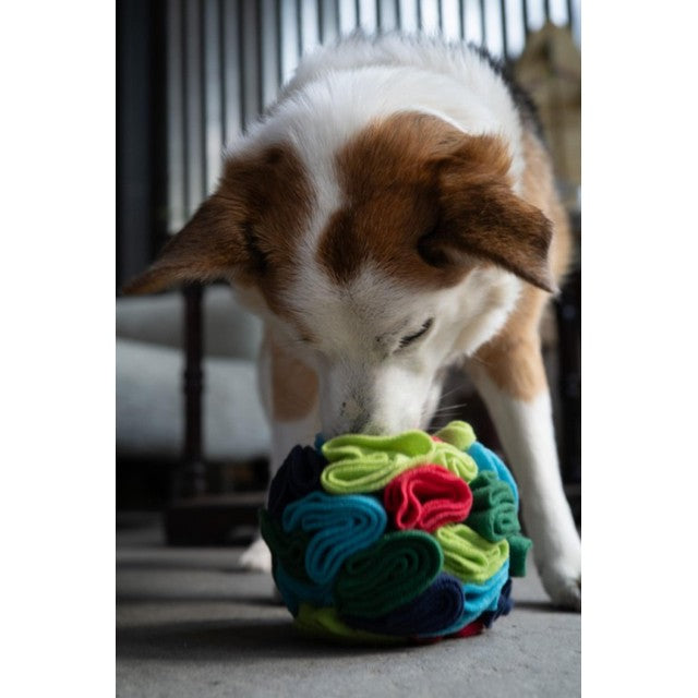 Petface Fabric Snuffle Ball Puzzle, imported from the UK