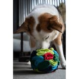 Petface Fabric Snuffle Ball Puzzle, imported from the UK