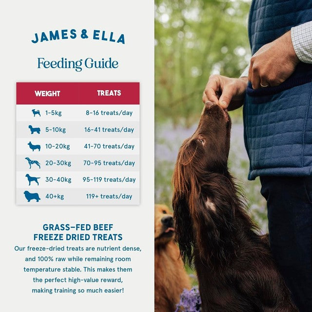 James & Ella Dog Treats Beef, imported from the UK