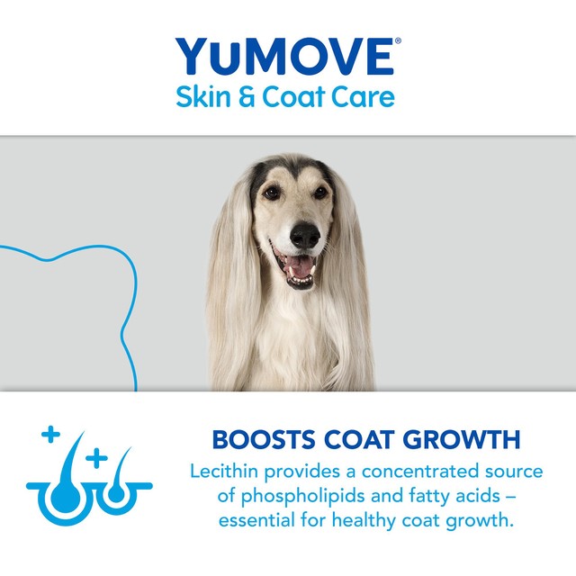 Lintbells YuMOVE Boost dog supplement 91.5g (British brand)