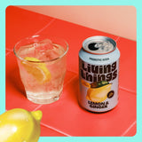 Living Things Lemon & Ginger Biotic Soda 4 x 330ml, UK version