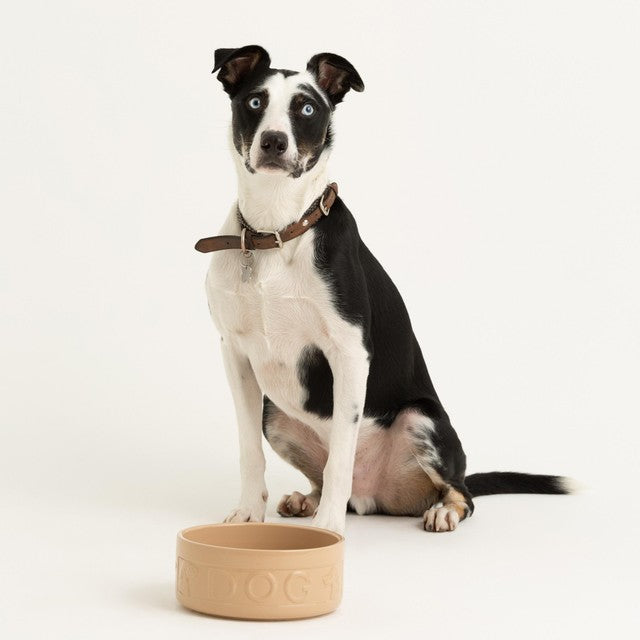 Mason Cash lettered dog bowl 18cm, imported from the UK