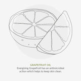 Green People Hydra-Glow Sleep Mask Age Defy+ 50ml, UK version