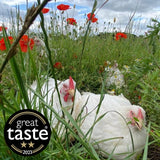 Packington free range skin on chicken breasts 480g, imported from the UK