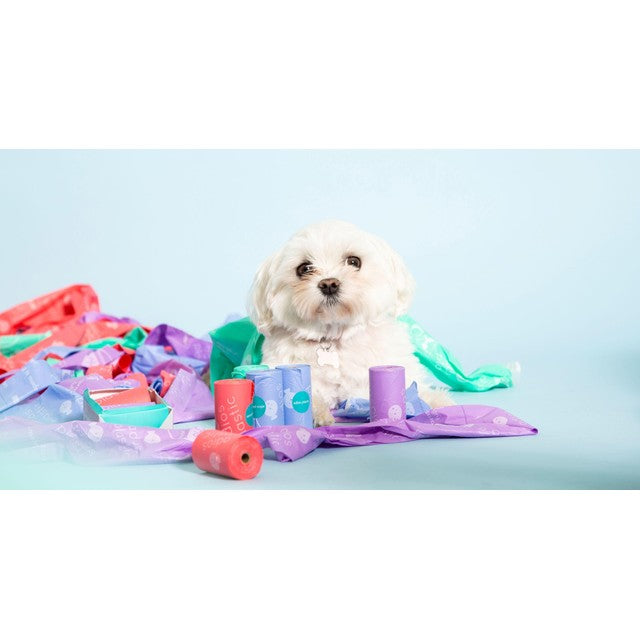 Adios compostable dog poo bags Rainbow - British product