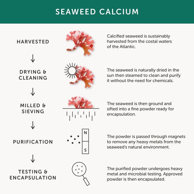 Together Health natural calcium from seaweed supplement capsules (British brand)