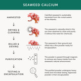 Together Health natural calcium from seaweed supplement capsules (British brand)