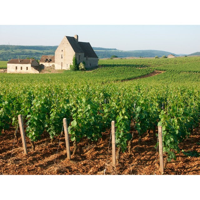 Louis Jadot Pouilly Fuisse Chardonnay white wine 75cl, UK version