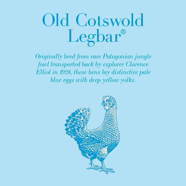 Clarence Court Cotswold Legbar eggs 6 pack - British product