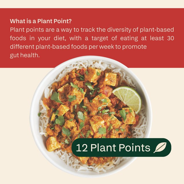 Plants Tofu Masala Curry 300g - British product
