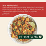 Plants Tofu Masala Curry 300g - British product