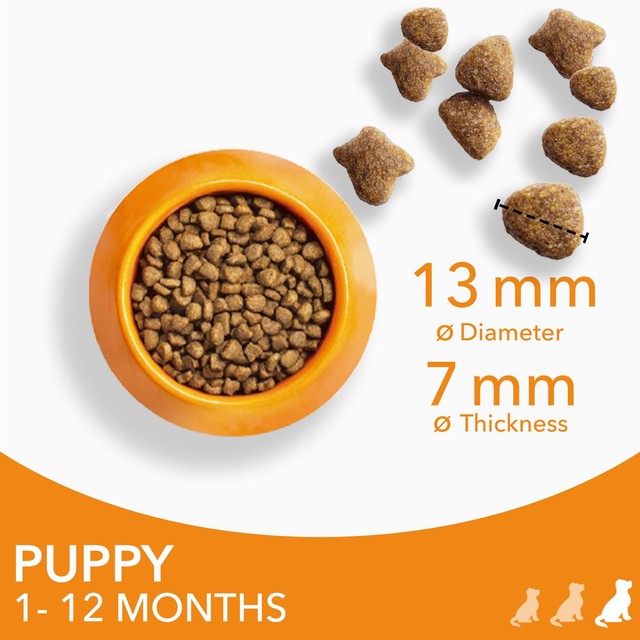 Iams puppy food large breed with fresh chicken 2kg, UK version