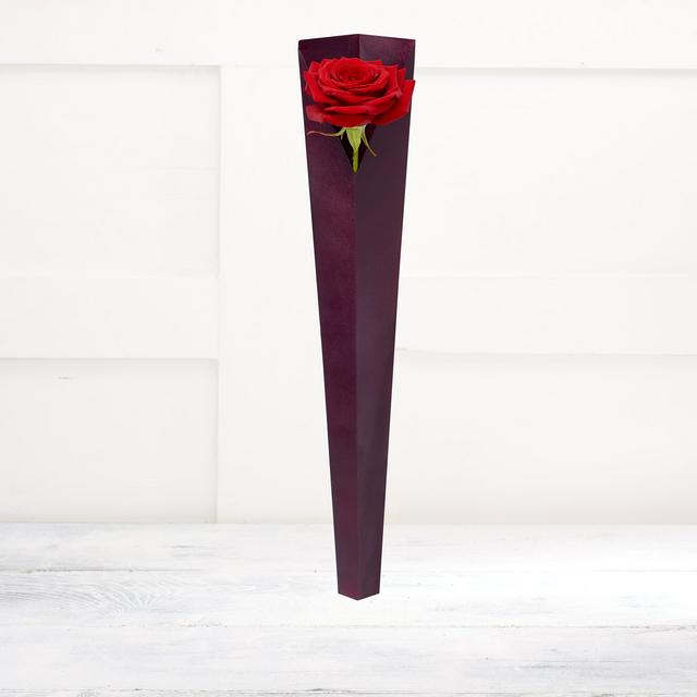 Premium Single Red Naomi Rose