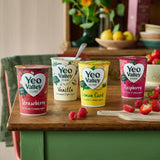 Yeo Valley organic lemon curd yogurt 450g (British brand)
