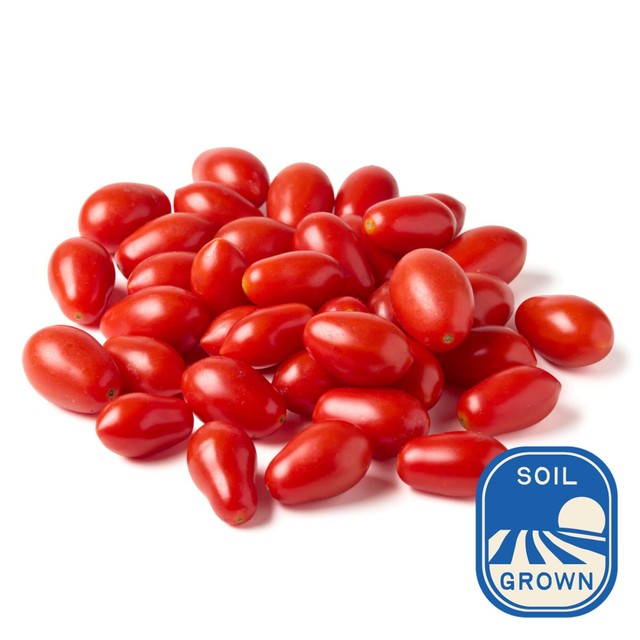 Natoora Sicilian Datterini Tomatoes 350g, imported from the UK