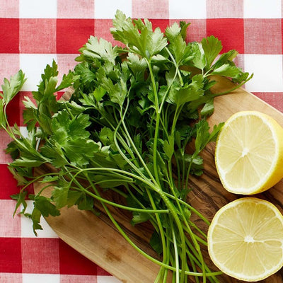 M&S Ocado Flat Leaf Parsley Fresh Herb 30g- Buy online at McGrocer