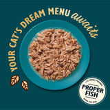 Lily's Kitchen Tuna in Broth wet cat food 70g, UK version