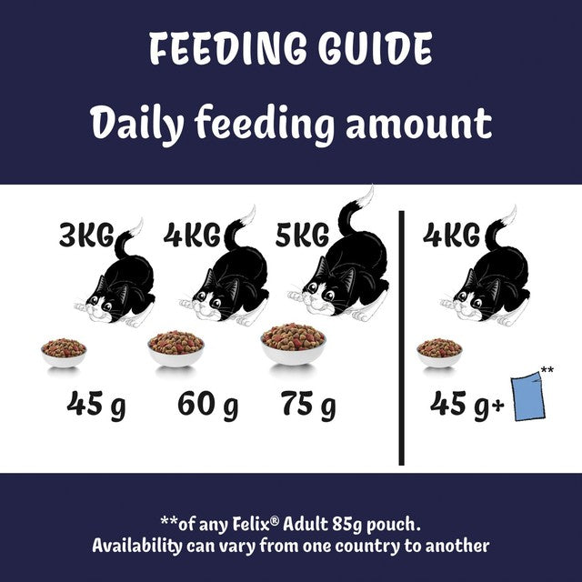 FELIX Doubly Delicious salmon and vegetables dry cat food 2kg, UK version