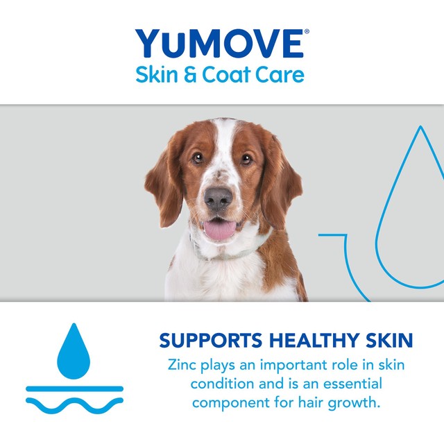 Lintbells YuMOVE Boost dog supplement 91.5g (British brand)