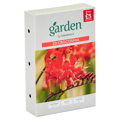 Sainsburys Sainsburys Garden Crocosmia x20- اشترِ عبر الإنترنت من McGrocer