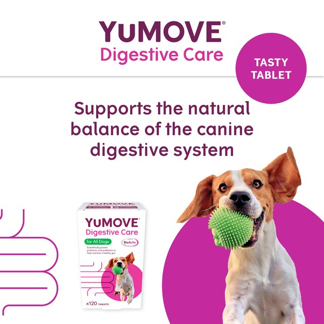 Lintbells YuMOVE dog probiotic supplement 120 tablets (British brand)