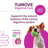Lintbells YuMOVE dog probiotic supplement 120 tablets (British brand)