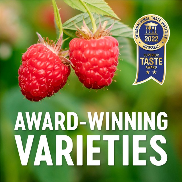 Berryworld raspberries 150g - British product