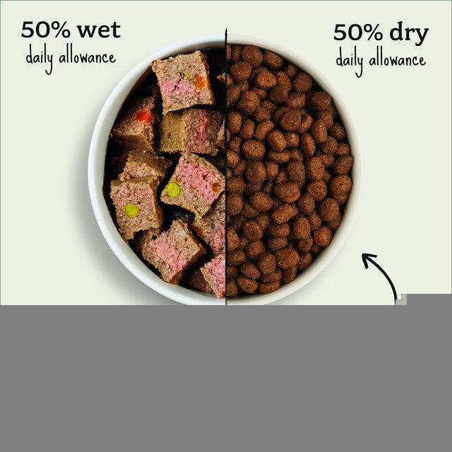 Forthglade wet dog food ocean fish with veg 395g - British product
