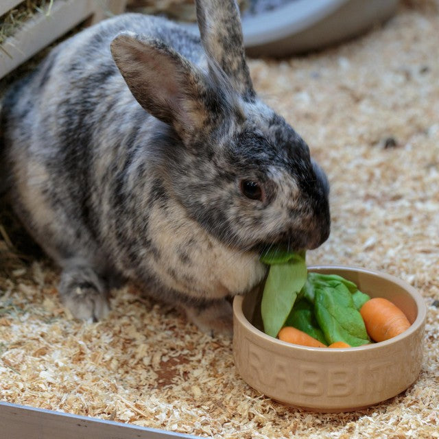 Mason Cash Lettered Rabbit bowl 13cm, imported from the UK