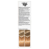 Clairol hair colour gloss conditioner toasted almond blonde - British product