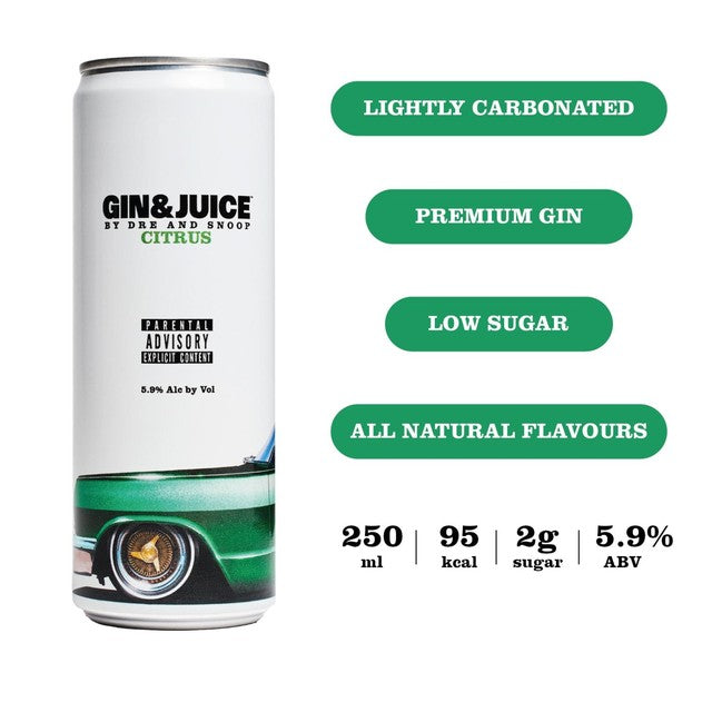 Gin & Juice citrus canned cocktail 250ml, UK version