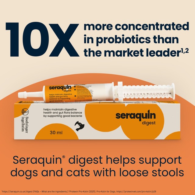 Seraquin Digest Paste for cats and dogs - British product