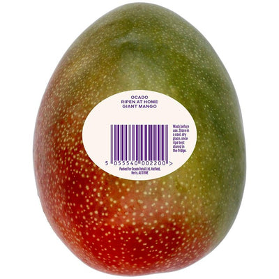 Ocado reift zu Hause Riesige Mango, frische Frucht, 600 g