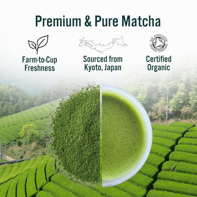 مسحوق شاي ماتشا الأخضر الياباني العضوي من جرين أوريجينز 30 جرام