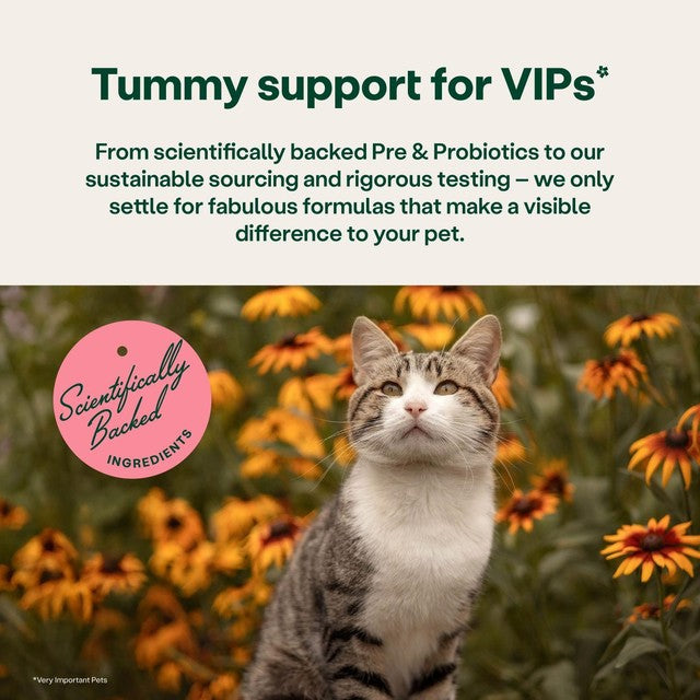 YuMOVE digestive rapid powder for dogs and cats, UK version