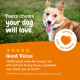 Zesty Paws dog chews Allergy Immunity supplement (British brand)