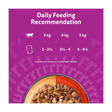 Whiskas Duo Meaty Combos cat food pouches 12 x 85g (British brand)