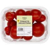 M&S Tomatenauswahl 750g, importiert aus Großbritannien