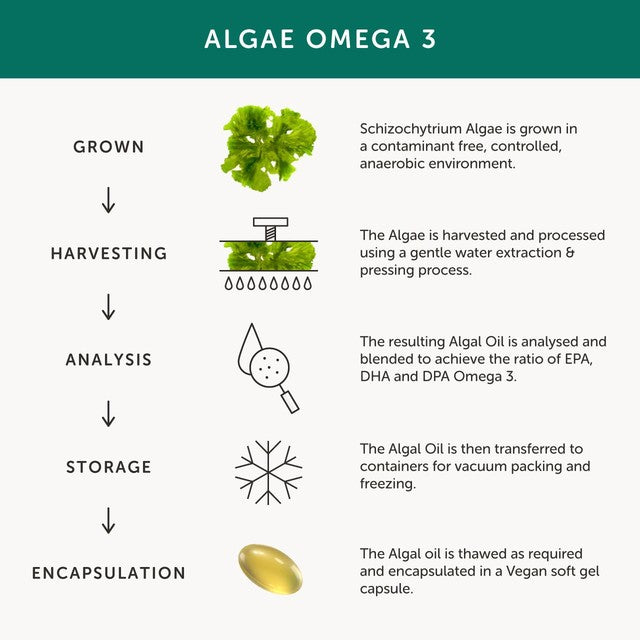 Together Health Omega 3 Fish-Free Algae Softgels (British brand)