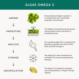 Together Health Omega 3 Fish-Free Algae Softgels (British brand)