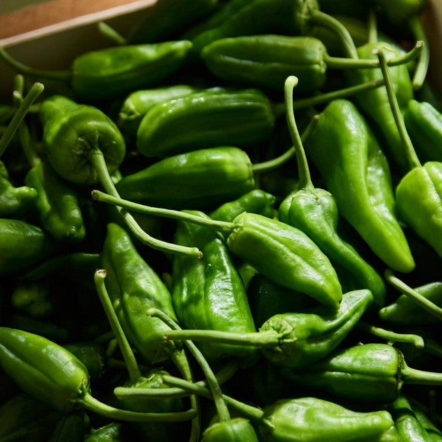 Natoora Padrón Style Green Peppers 130g, imported from the UK