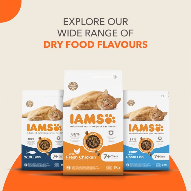 IAMS senior dry cat food tuna - British product