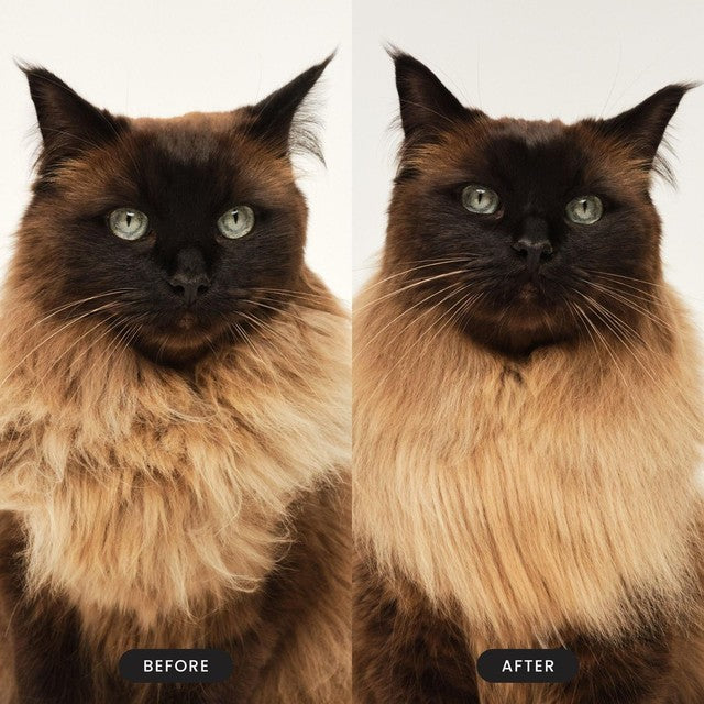 Tangle Teezer cat brush pink for short to medium fur, UK version
