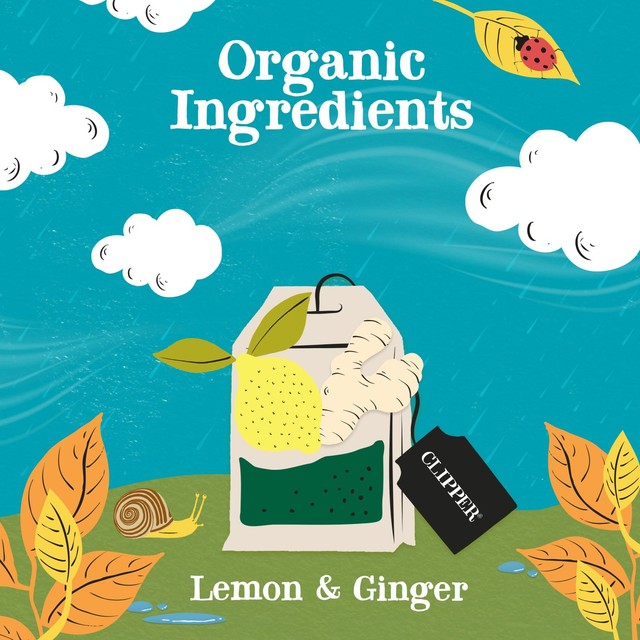 Clipper lemon and ginger herbal tea infusion 20 count - British product