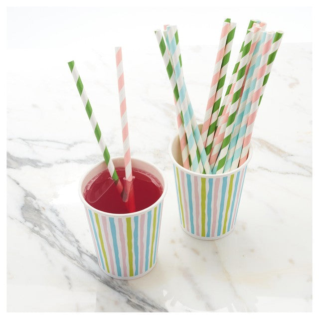 Duni Bio pastel paper straws 25 pack - British product