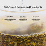 MISSION Yerba Mate tea bags with lemongrass and mint pack of 15, imported from the UK